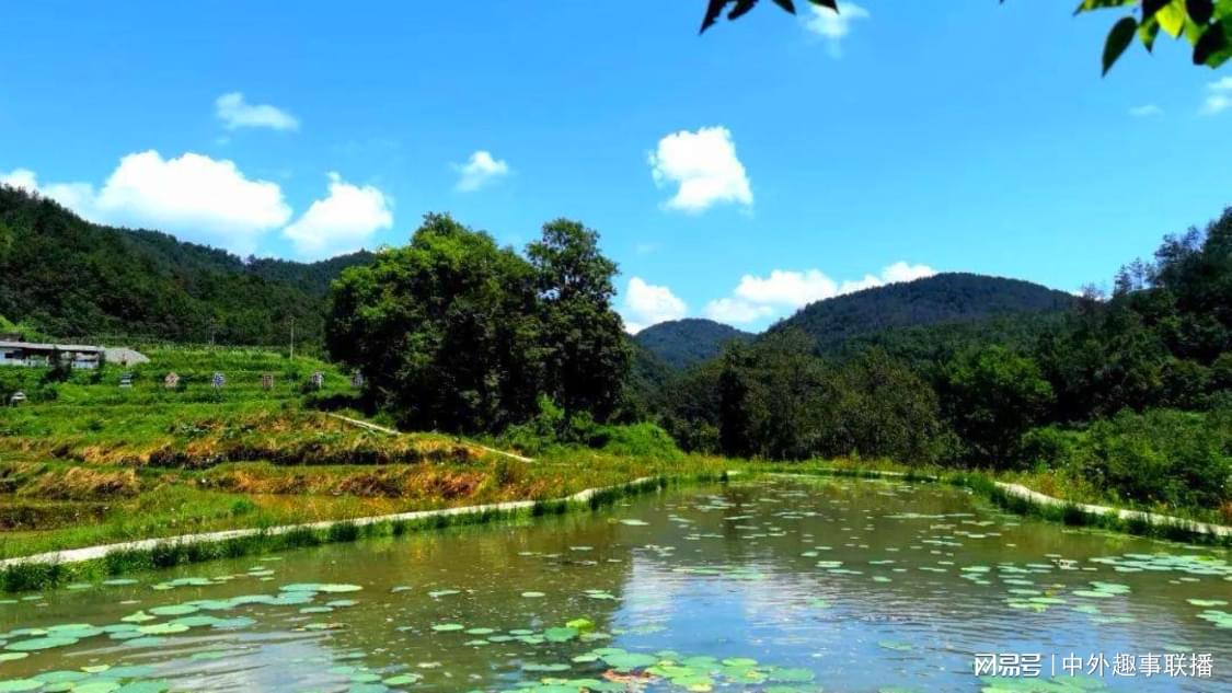刚刚联名推广精细化搭建您的带货商城:一站式推广管理平台解析,谢霆锋儿子现身演唱会